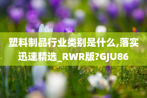 塑料制品行业类别是什么,落实迅速精选_RWR版?GJU86