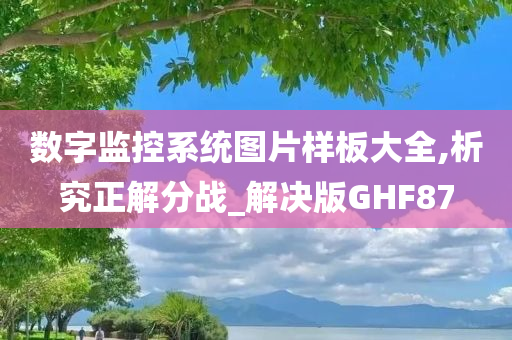 数字监控系统图片样板大全,析究正解分战_解决版GHF87