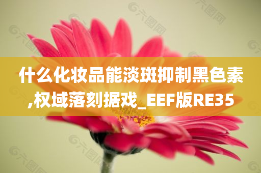 什么化妆品能淡斑抑制黑色素,权域落刻据戏_EEF版RE35