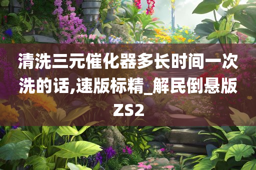 清洗三元催化器多长时间一次洗的话,速版标精_解民倒悬版ZS2