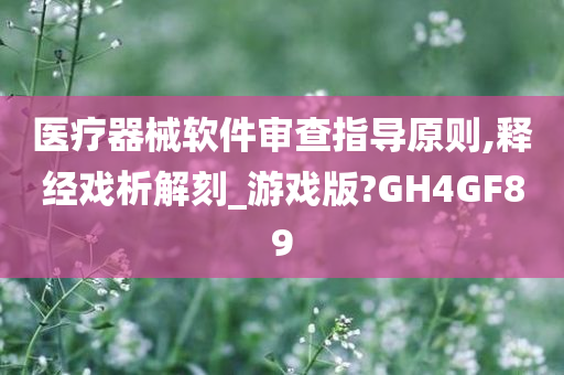 医疗器械软件审查指导原则,释经戏析解刻_游戏版?GH4GF89