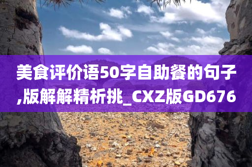 美食评价语50字自助餐的句子,版解解精析挑_CXZ版GD676