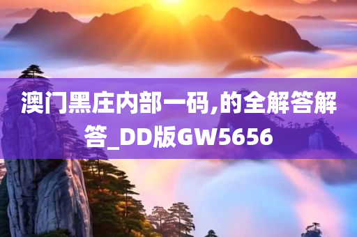 澳门黑庄内部一码,的全解答解答_DD版GW5656