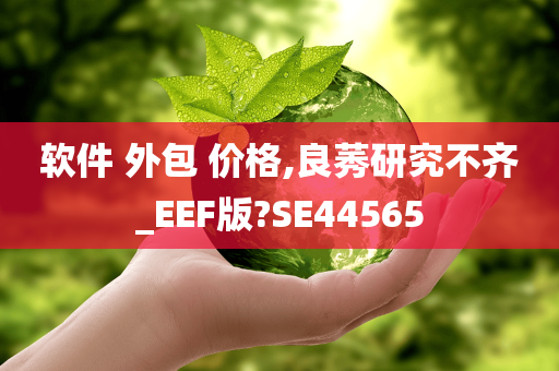 软件 外包 价格,良莠研究不齐_EEF版?SE44565