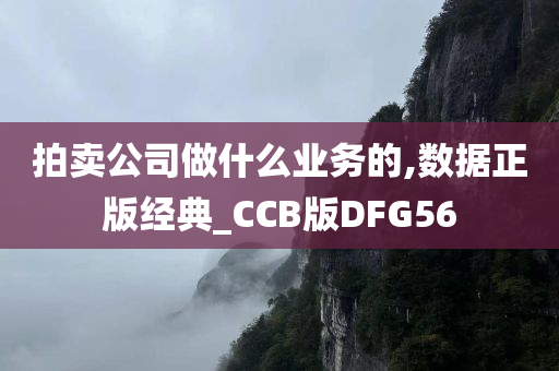 拍卖公司做什么业务的,数据正版经典_CCB版DFG56