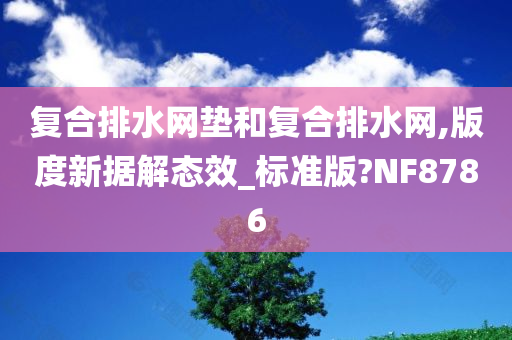 复合排水网垫和复合排水网,版度新据解态效_标准版?NF8786