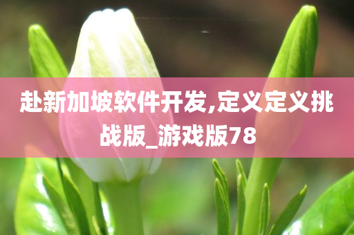 赴新加坡软件开发,定义定义挑战版_游戏版78