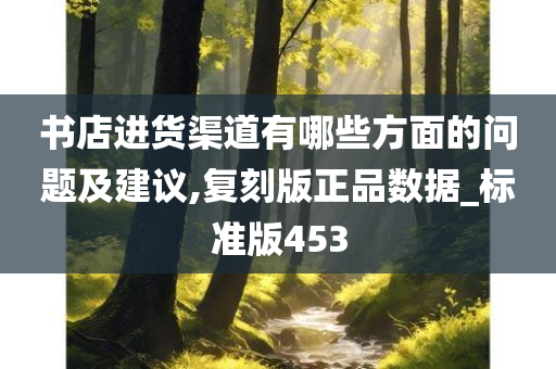 书店进货渠道有哪些方面的问题及建议,复刻版正品数据_标准版453