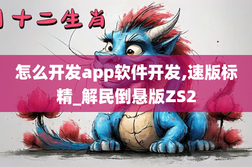 怎么开发app软件开发,速版标精_解民倒悬版ZS2