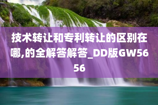 技术转让和专利转让的区别在哪,的全解答解答_DD版GW5656