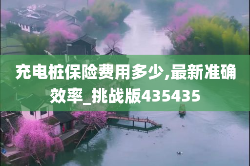 充电桩保险费用多少,最新准确效率_挑战版435435