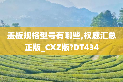 盖板规格型号有哪些,权威汇总正版_CXZ版?DT434