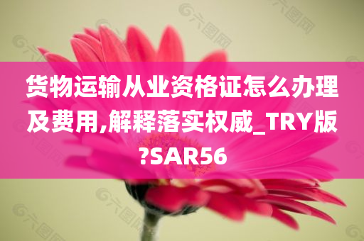 货物运输从业资格证怎么办理及费用,解释落实权威_TRY版?SAR56