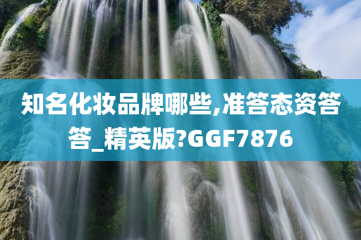 知名化妆品牌哪些,准答态资答答_精英版?GGF7876