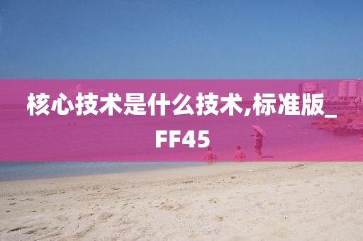 核心技术是什么技术,标准版_FF45