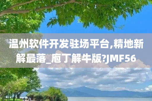 温州软件开发驻场平台,精地新解最落_庖丁解牛版?JMF56