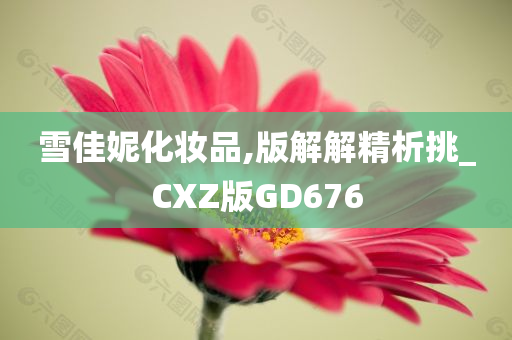 雪佳妮化妆品,版解解精析挑_CXZ版GD676