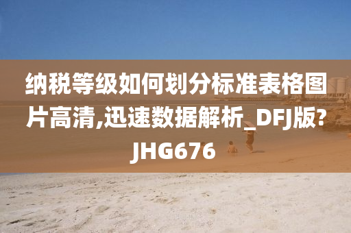 纳税等级如何划分标准表格图片高清,迅速数据解析_DFJ版?JHG676