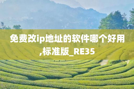 免费改ip地址的软件哪个好用,标准版_RE35