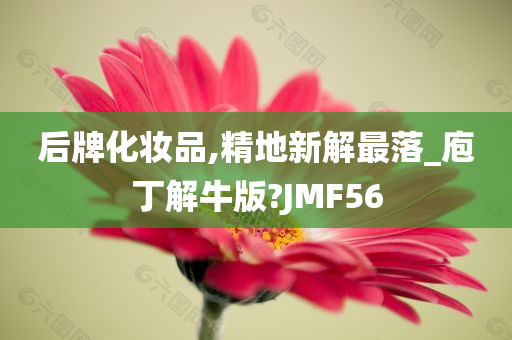 后牌化妆品,精地新解最落_庖丁解牛版?JMF56