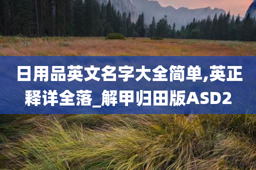 日用品英文名字大全简单,英正释详全落_解甲归田版ASD2
