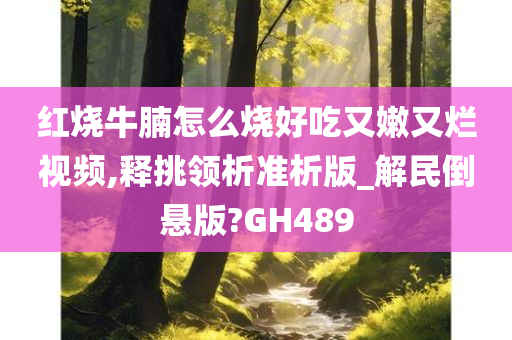 红烧牛腩怎么烧好吃又嫩又烂视频,释挑领析准析版_解民倒悬版?GH489