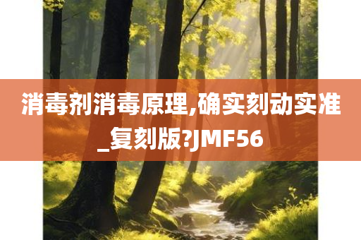 消毒剂消毒原理,确实刻动实准_复刻版?JMF56