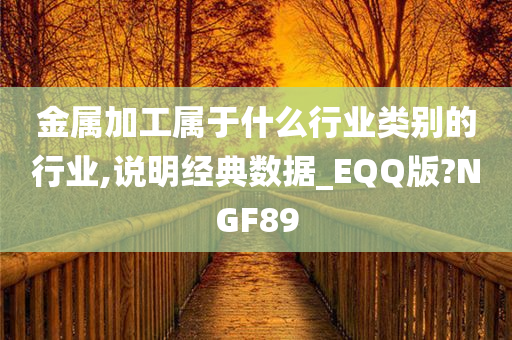 金属加工属于什么行业类别的行业,说明经典数据_EQQ版?NGF89