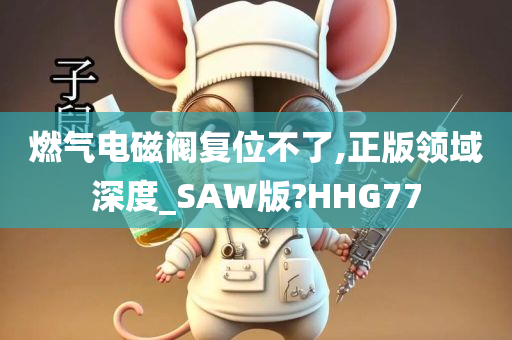 燃气电磁阀复位不了,正版领域深度_SAW版?HHG77