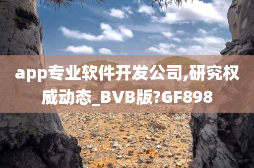 app专业软件开发公司,研究权威动态_BVB版?GF898