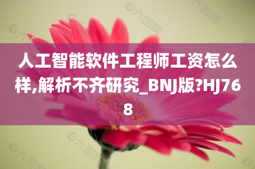 人工智能软件工程师工资怎么样,解析不齐研究_BNJ版?HJ768