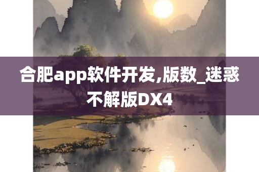 合肥app软件开发,版数_迷惑不解版DX4