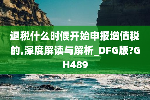 退税什么时候开始申报增值税的,深度解读与解析_DFG版?GH489