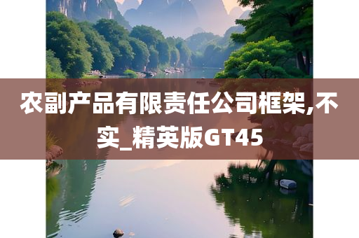 农副产品有限责任公司框架,不实_精英版GT45