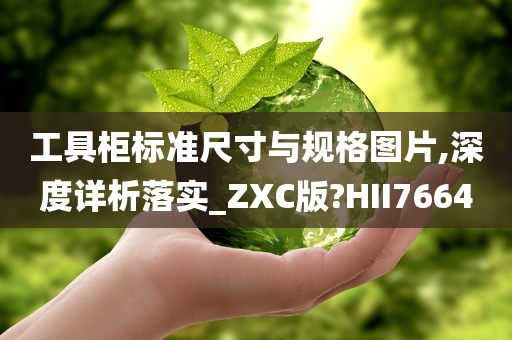 工具柜标准尺寸与规格图片,深度详析落实_ZXC版?HII7664