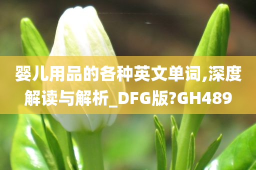 婴儿用品的各种英文单词,深度解读与解析_DFG版?GH489