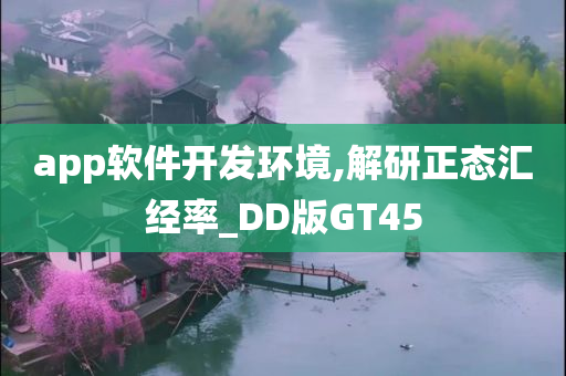 app软件开发环境,解研正态汇经率_DD版GT45