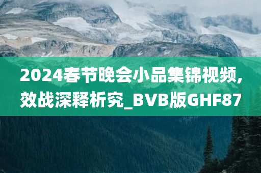 2024春节晚会小品集锦视频,效战深释析究_BVB版GHF87