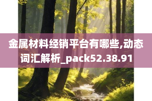 金属材料经销平台有哪些,动态词汇解析_pack52.38.91