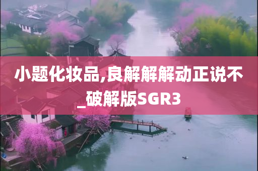 小题化妆品,良解解解动正说不_破解版SGR3