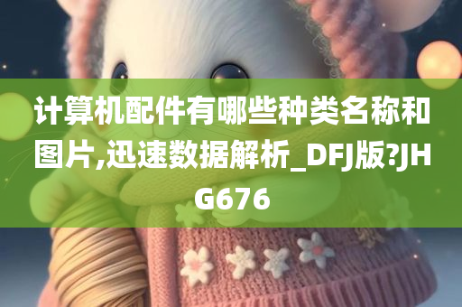 计算机配件有哪些种类名称和图片,迅速数据解析_DFJ版?JHG676