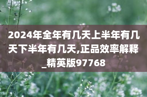 2024年全年有几天上半年有几天下半年有几天,正品效率解释_精英版97768