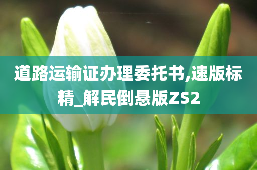 道路运输证办理委托书,速版标精_解民倒悬版ZS2