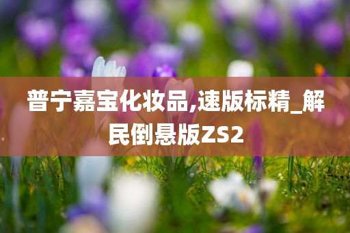 普宁嘉宝化妆品,速版标精_解民倒悬版ZS2