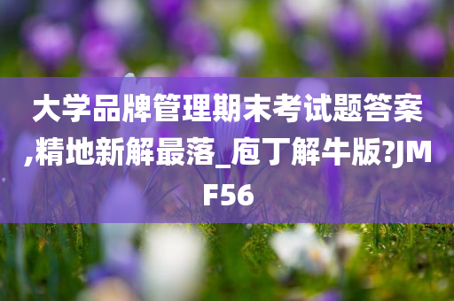 大学品牌管理期末考试题答案,精地新解最落_庖丁解牛版?JMF56