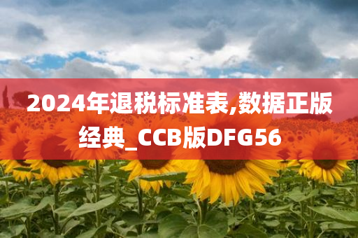 2024年退税标准表,数据正版经典_CCB版DFG56