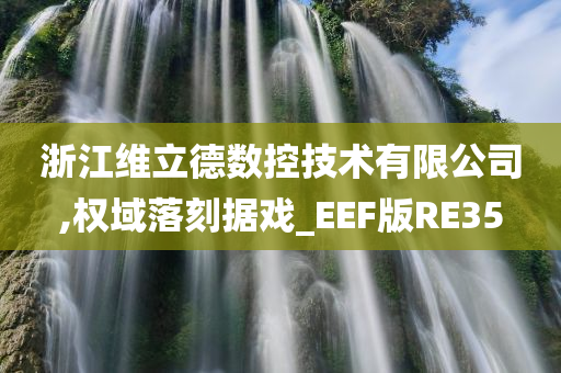 浙江维立德数控技术有限公司,权域落刻据戏_EEF版RE35