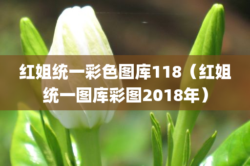 红姐统一彩色图库118（红姐统一图库彩图2018年）