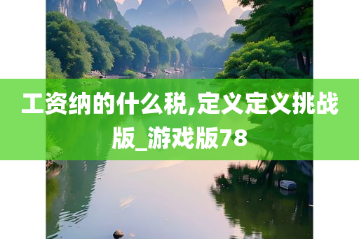 工资纳的什么税,定义定义挑战版_游戏版78