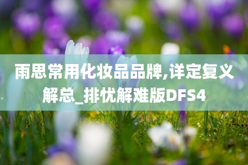 雨思常用化妆品品牌,详定复义解总_排忧解难版DFS4